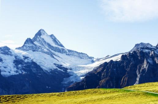 Faune sauvage et environnement naturel