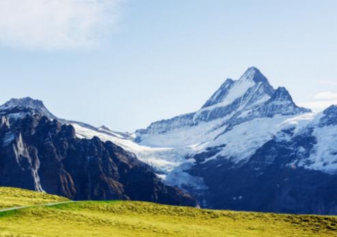 Vignobles en altitude : Découverte des vins alpins suisses