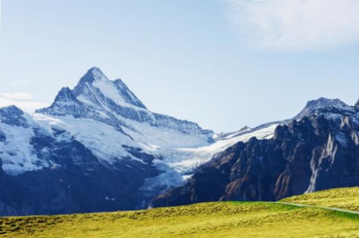 Le Jardin Alpin : Un regard plus attentif sur la flore de montagne de la Suisse